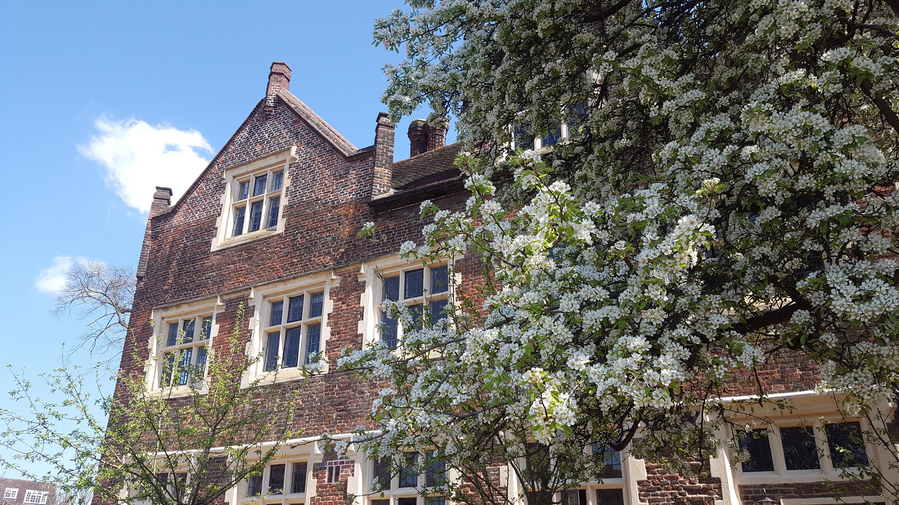 Eastbury with spring flowers